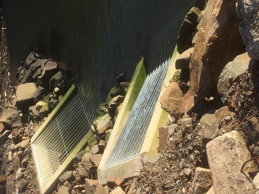 2nr drain covers.JPG